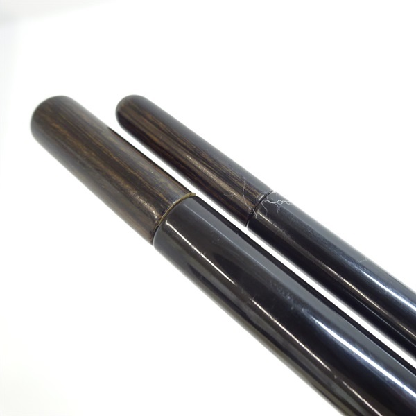 普天元 大我十三